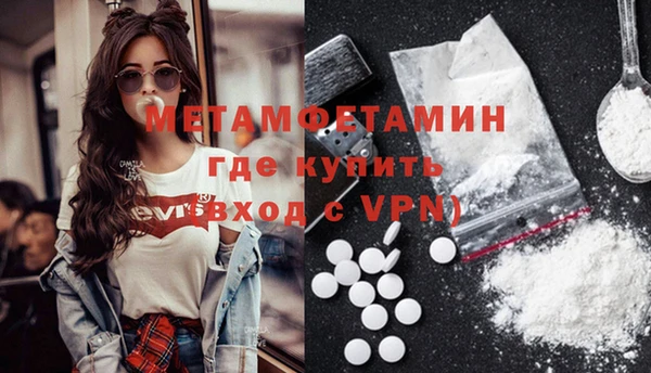 индика Бронницы
