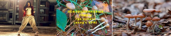 соль ск Сафоново