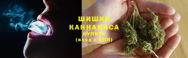 ешки Бородино