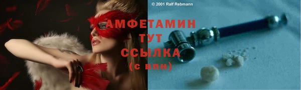 индика Бронницы