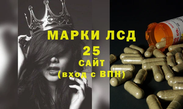 ешки Бородино