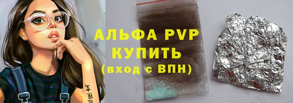 индика Бронницы