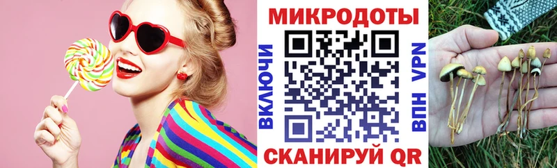 блэк спрут вход  Ельня  Галлюциногенные грибы MAGIC MUSHROOMS 