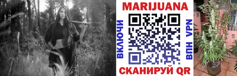 наркотики  блэк спрут зеркало  МАРИХУАНА White Widow  Ельня 